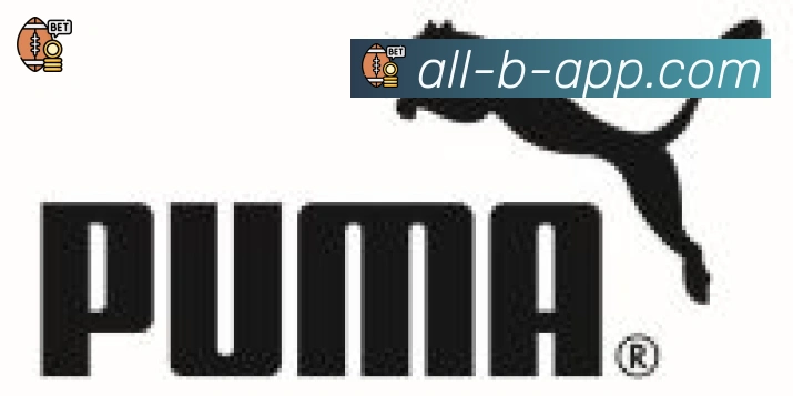 B体育合作伙伴